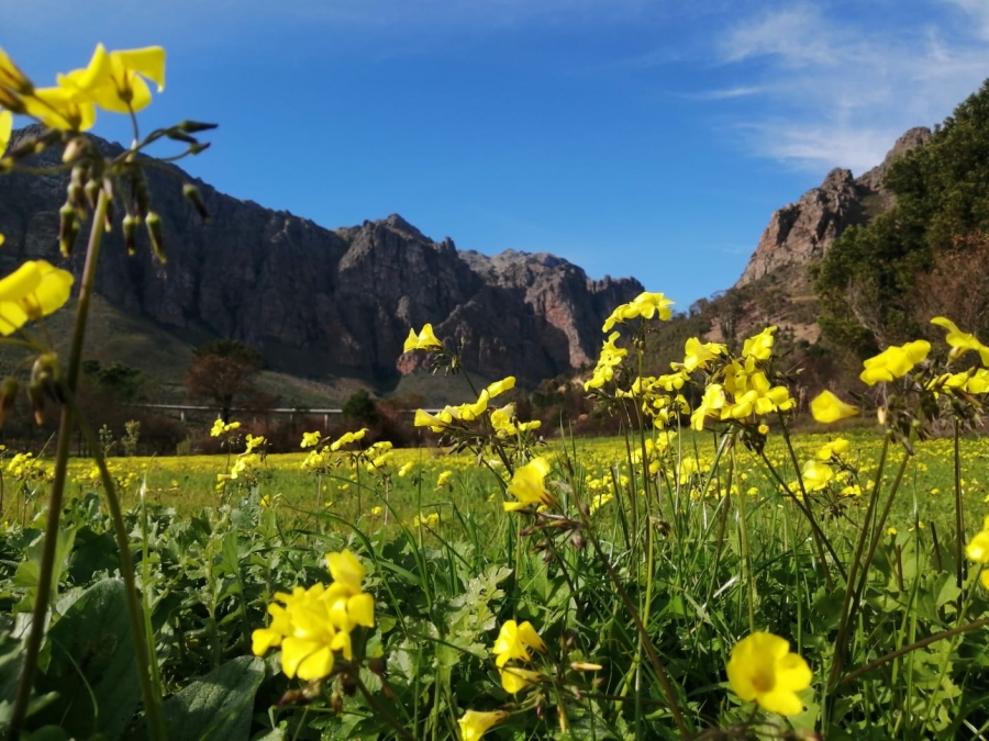 0 Bedroom Property for Sale in Klein Drakenstein Western Cape